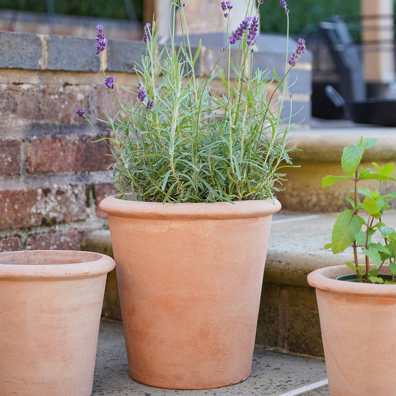 Charlecote Planter - Terracotta by Ivyline