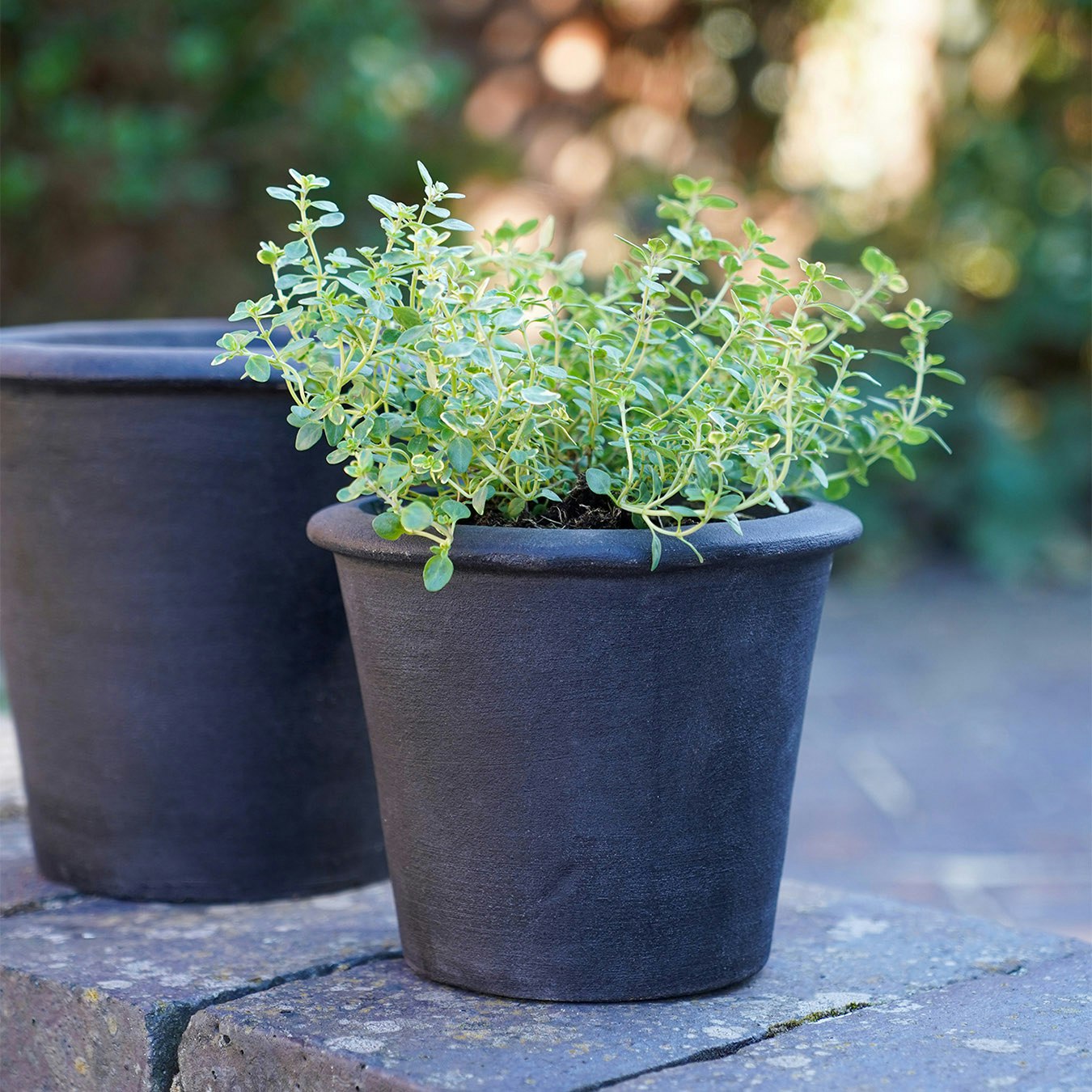 Charlecote Planter - Charcoal by Ivyline