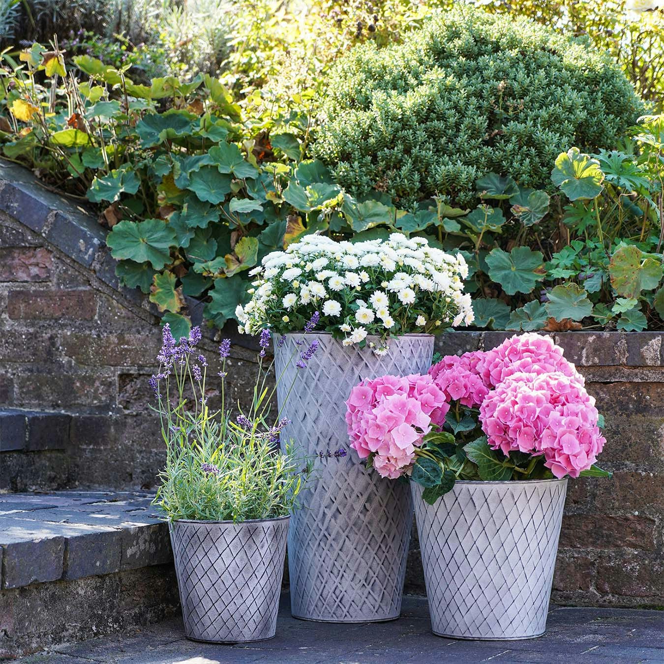 Outdoor Chatsworth Planter - Zinc by Ivyline