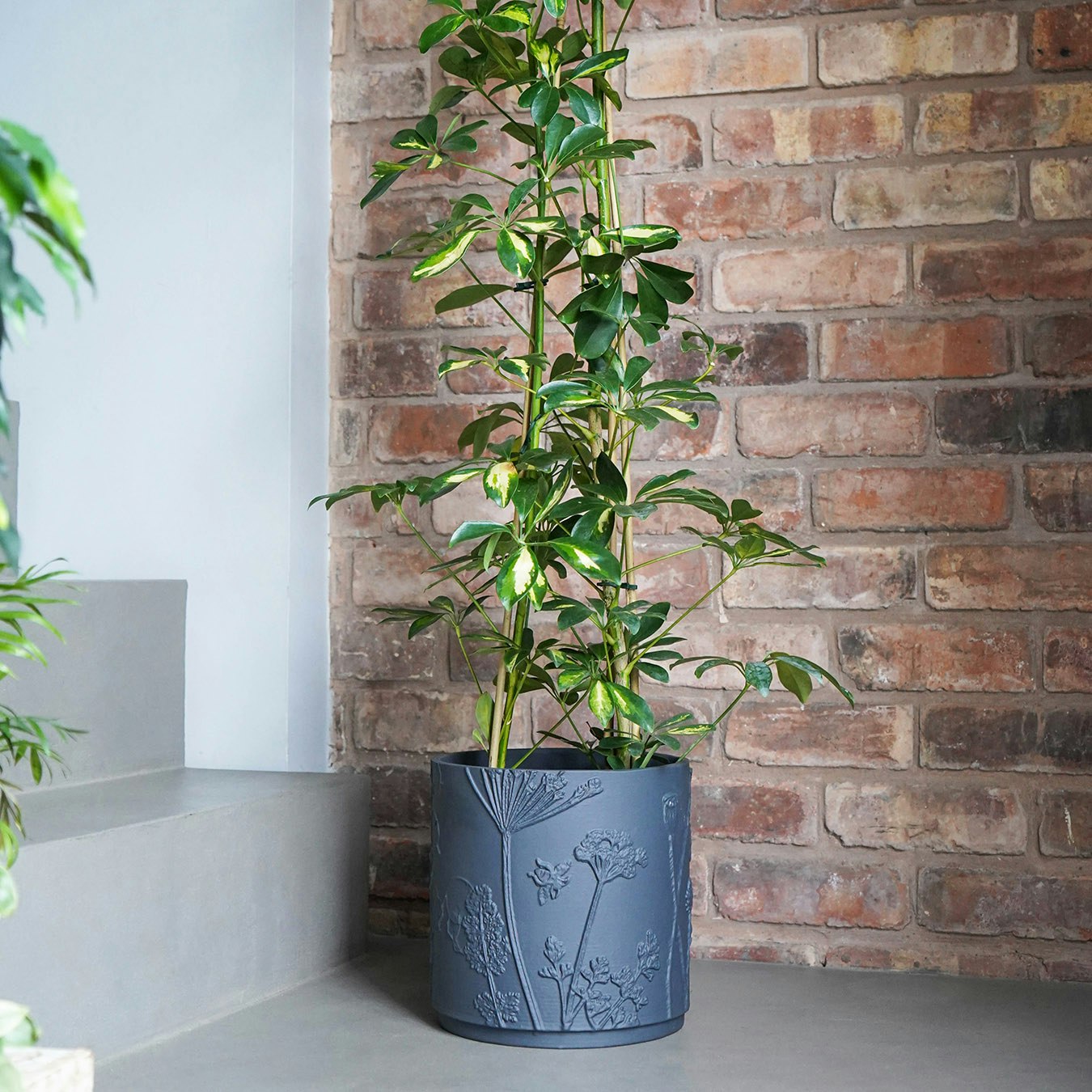 Royal Botanic Gardens Kew Meadow Planter - Midnight - Stoneware by Ivyline