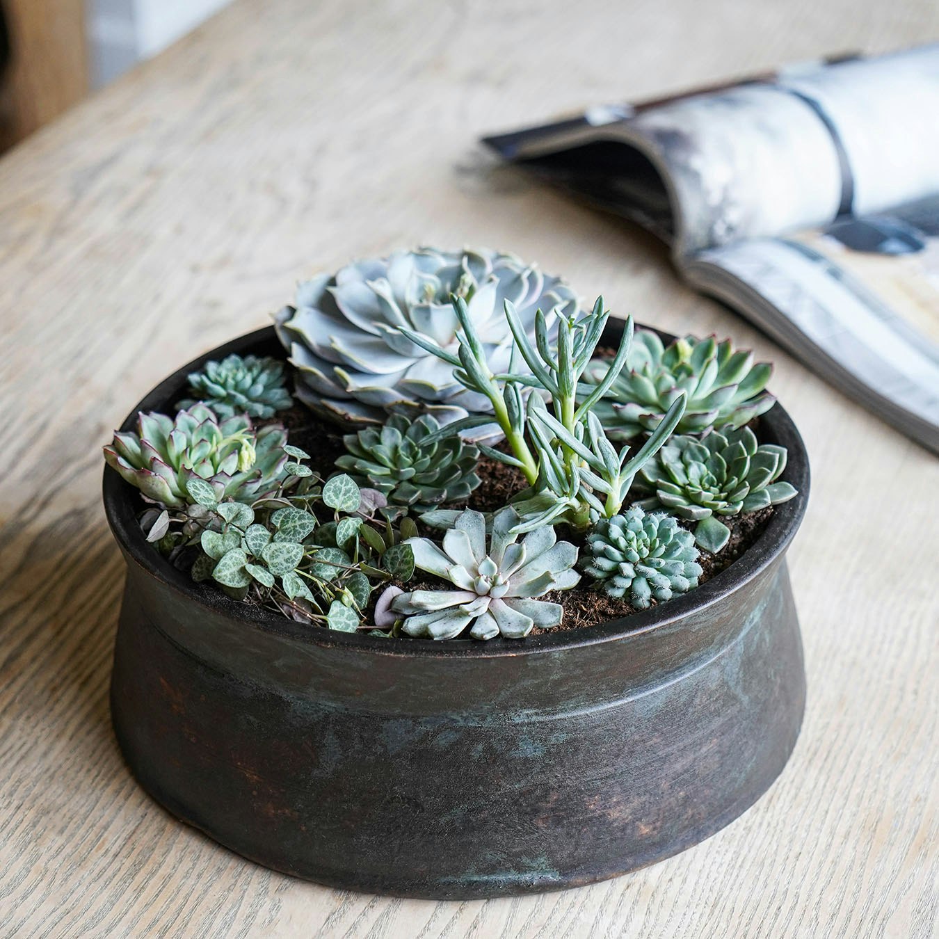 Royal Botanic Gardens Kew Hand-thrown Statement Bowl - Old Bronze by Ivyline