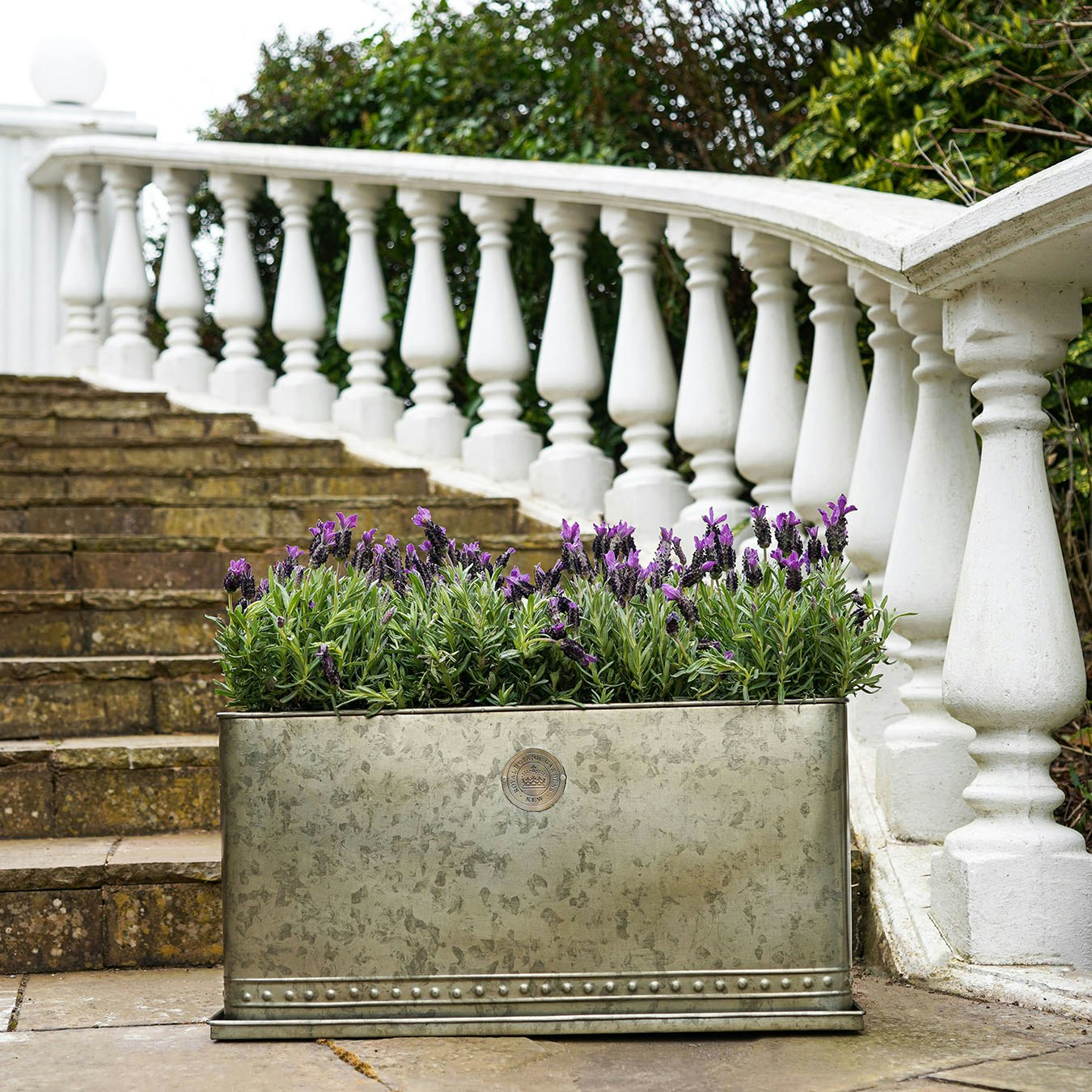 Royal Botanic Gardens Kew Regency Outdoor Trough - Aged Brass by Ivyline