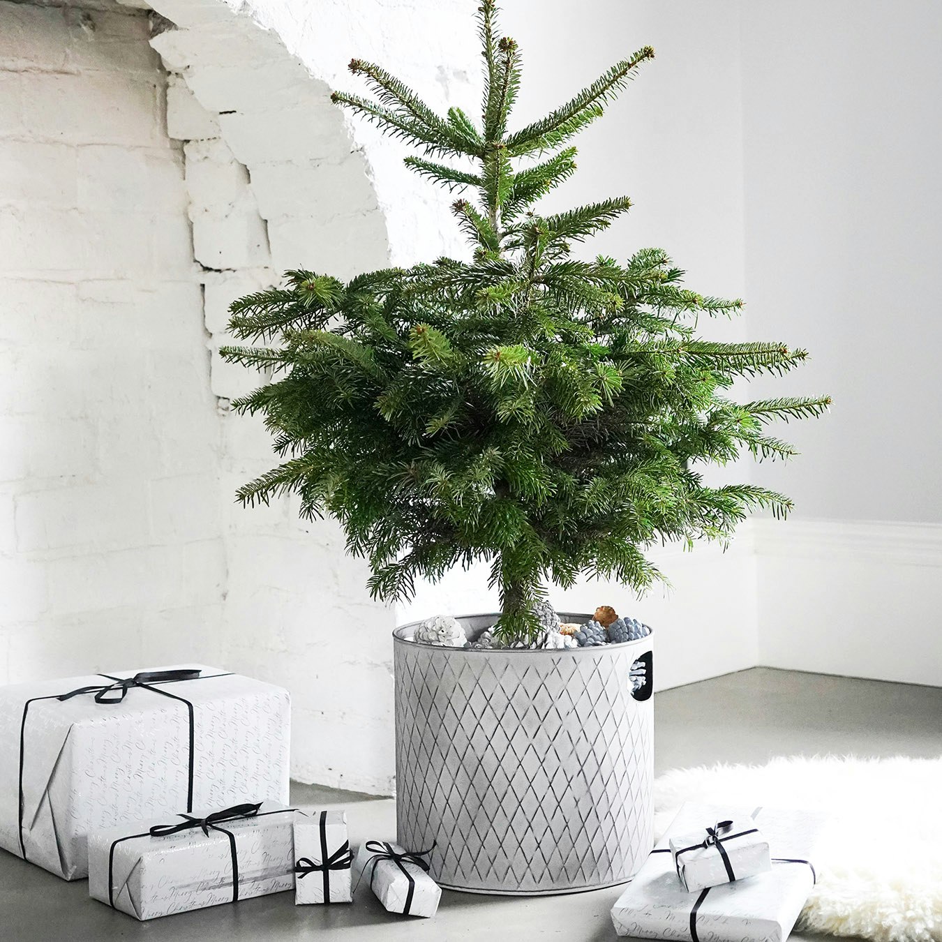 Indoor Christmas Tree Bucket - Zinc by Ivyline
