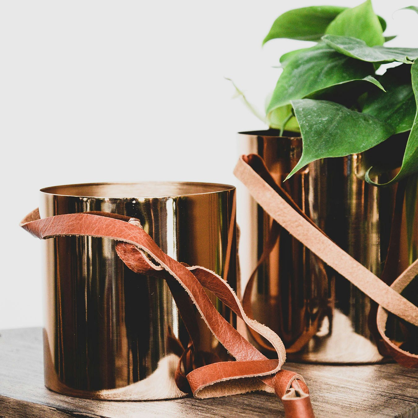 Hanging Planter with Leather Strap - Copper by Ivyline