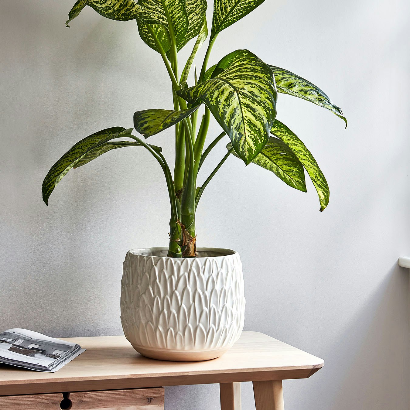 Arles Leaf Embossed Planter - White by Ivyline