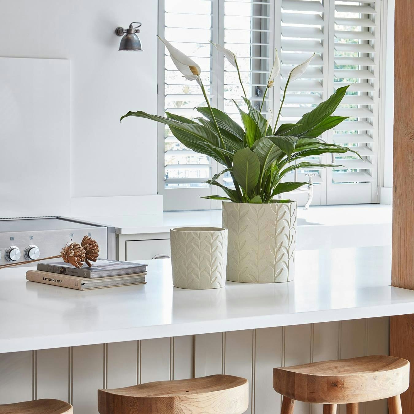 Fairford Leaf Planter - Ivory / Speckle by Ivyline