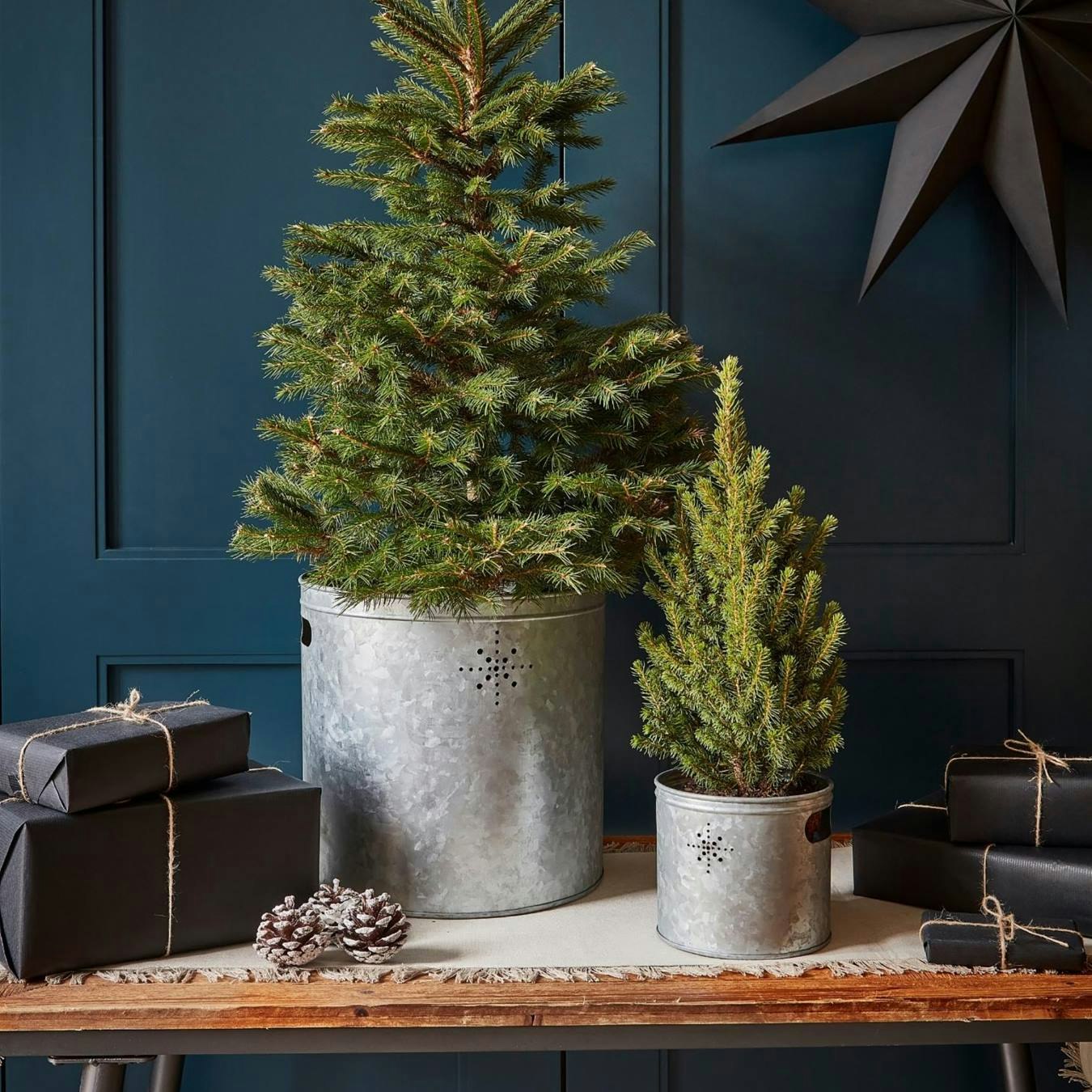 Indoor Christmas Tree Bucket with Star - Galvanised Steel by Ivyline