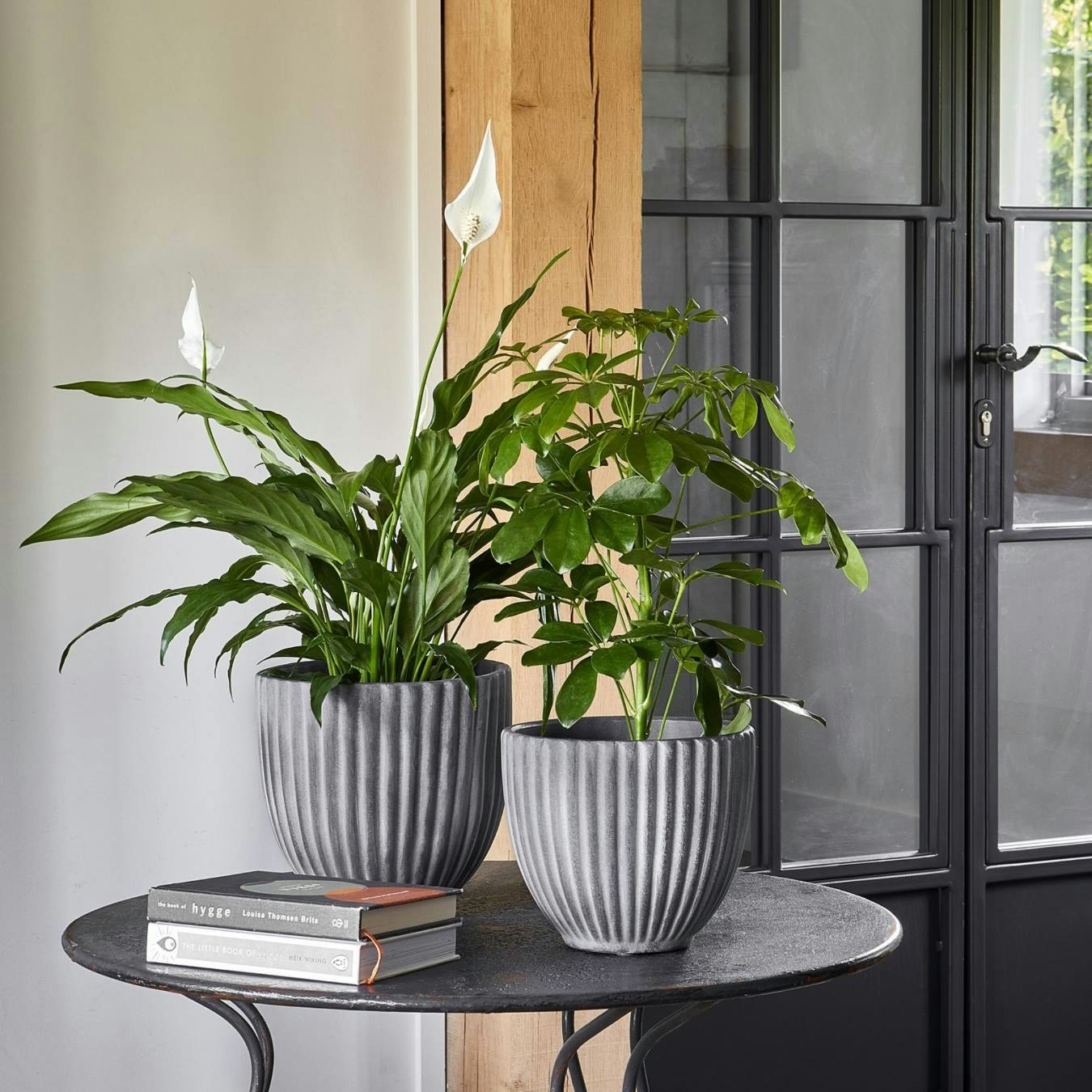 Lagos Planter - Anthracite by Ivyline