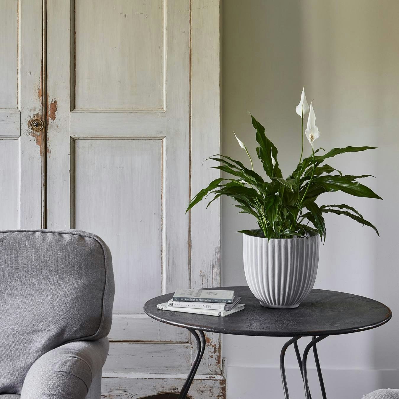 Lagos Cement Planter by Ivyline