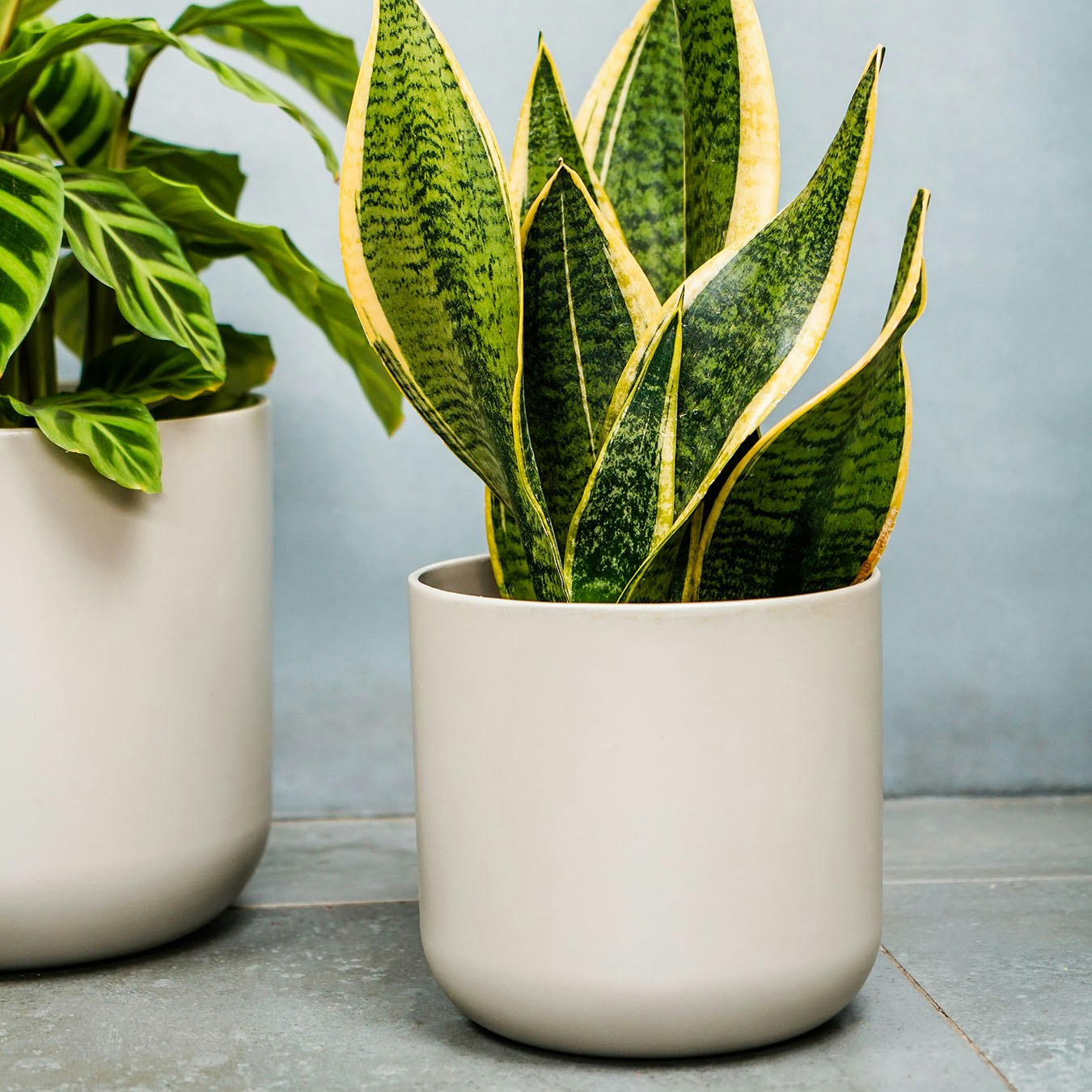 Lisbon Planter - Light Grey by Ivyline