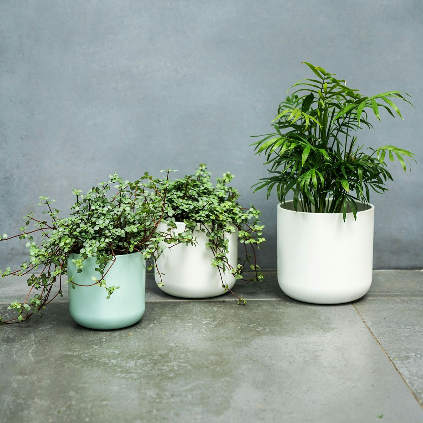 Lisbon Planter - Mint Green by Ivyline