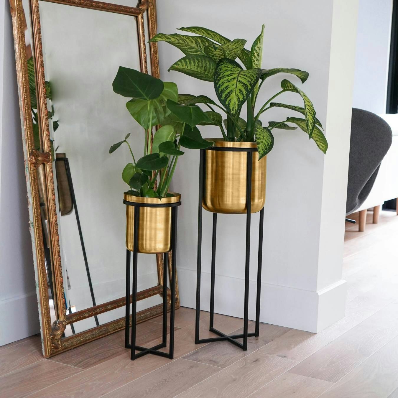 Calla Planter Stand - Black / Antique Gold by Ivyline
