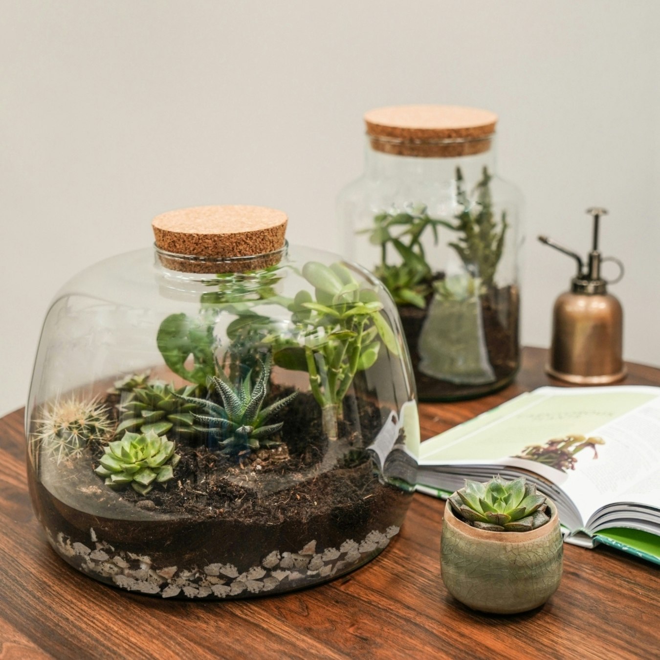 Bowl Shape Terrarium DIY Kit by Ivyline
