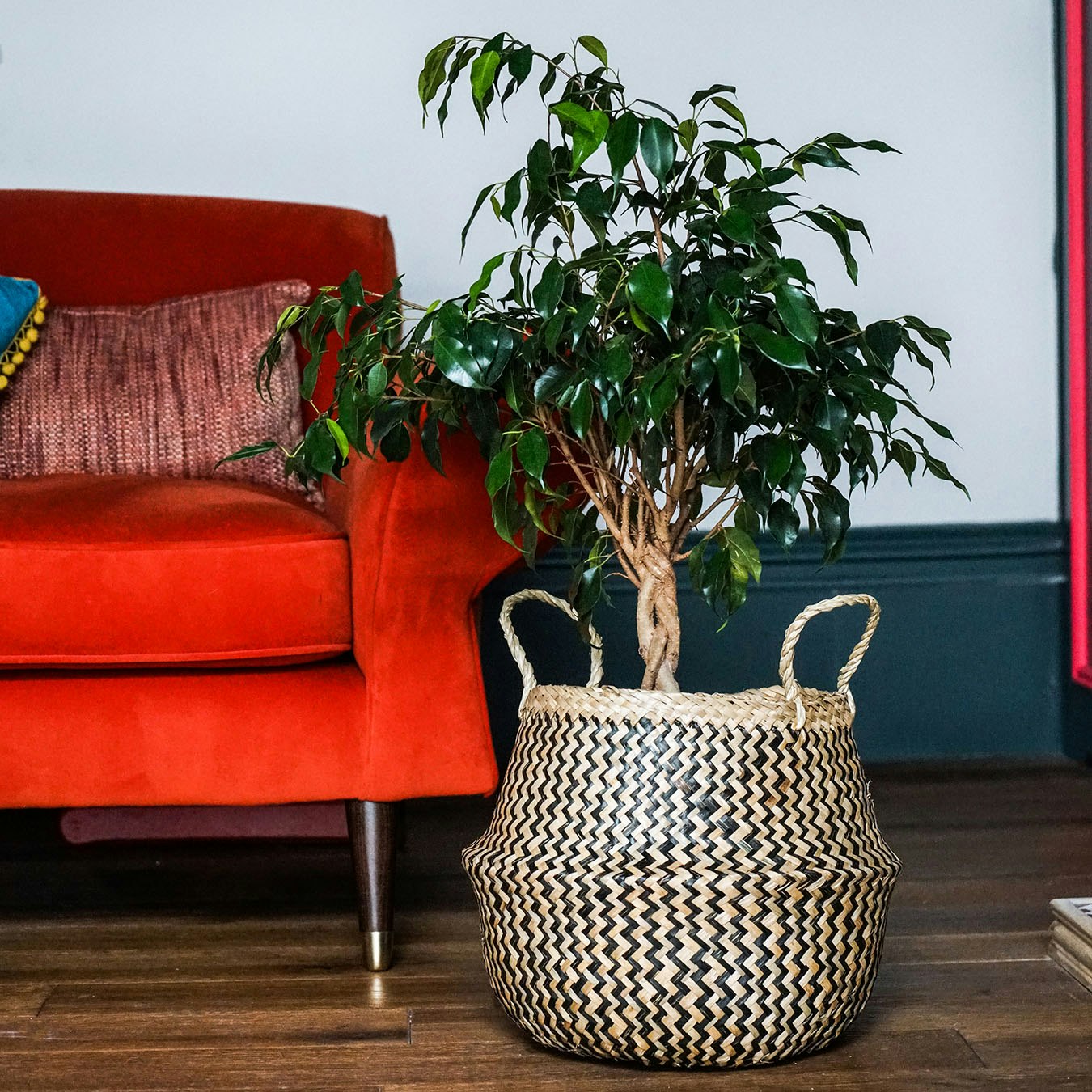 Chevron Lined Basket - Black / Natural by Ivyline
