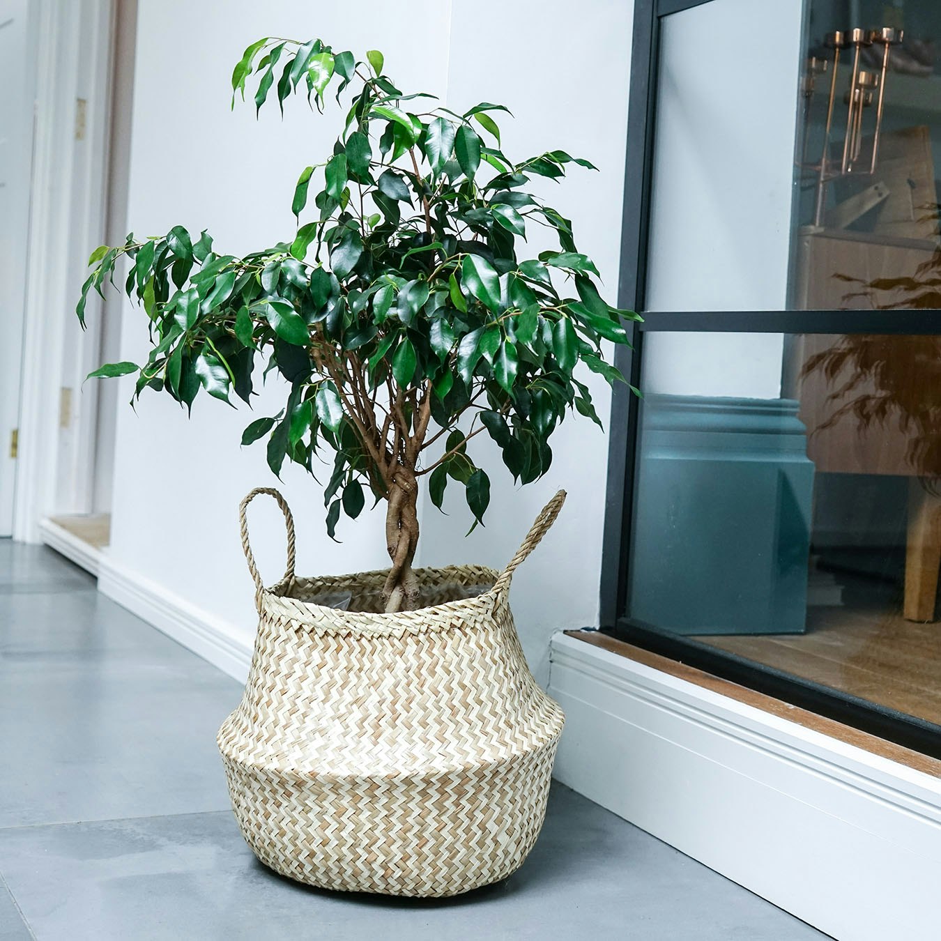 Chevron Lined Basket - White / Natural by Ivyline