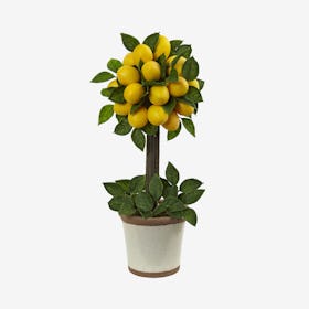 Lemon Ball Topiary - Yellow