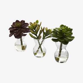 Succulent Flower Arrangements - Green - Set of 3