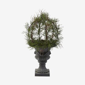 Indoor / Outdoor Pond Cypress Topiary with Urn - Green