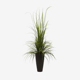 Indoor / Outdoor River Grass with Planter - Green