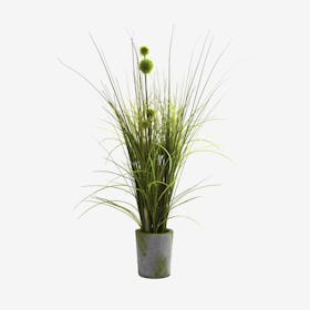 Grass and Dandelion with Planter - Green