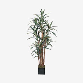 Yucca Tree with Pot - Green