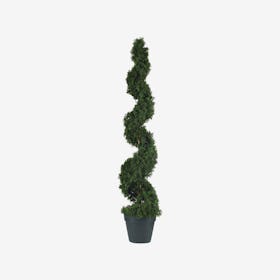 Cedar Spiral Tree - Green