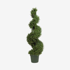 Indoor / Outdoor Rosemary Spiral Tree - Green