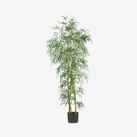 Fancy Slim Bamboo Tree - Green