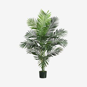 Paradise Palm Tree - Green
