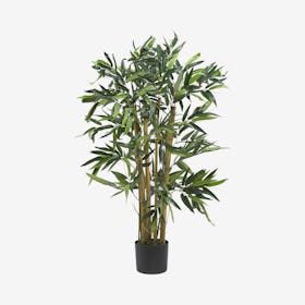 Biggy Bamboo Tree - Green