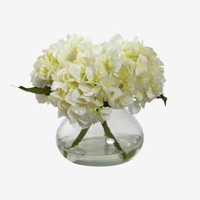 Blooming Hydrangea Flower Arrangement with Vase - Cream