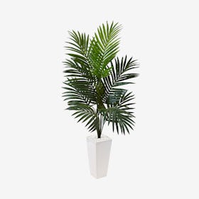 Kentia Palm Tree in Tower Planter - Green
