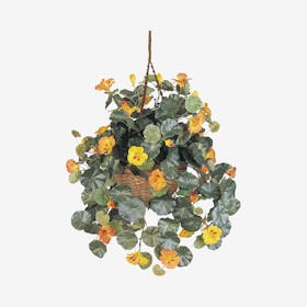 Nasturtium Hanging Basket - Yellow