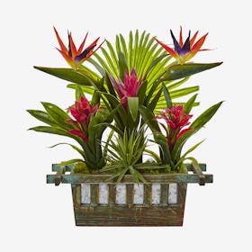 Birds of Paradise and Bromeliad in Planter - Green