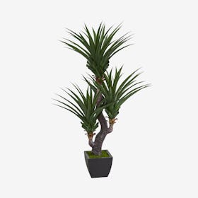 Dracaena Artificial Plant with Planter - Green