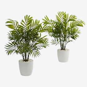 Palms in Planters - Green - Set of 2