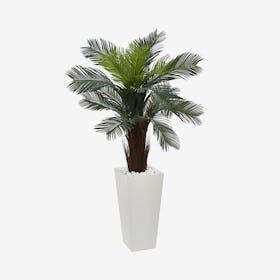 Indoor / Outdoor UV Resistant Cycas in Tower Planter - Green