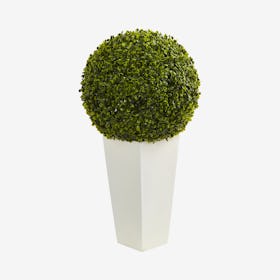Indoor / Outdoor Boxwood Topiary Ball in Planter - Green