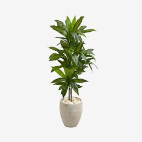 Dracaena Artificial Real Touch Plant in Planter - Green