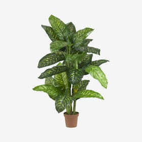Dieffenbachia Real Touch Plant - Green
