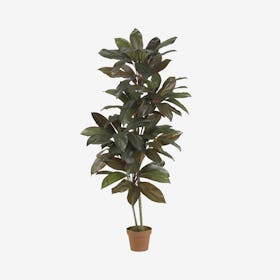 Cordyline Real Touch Plant - Green