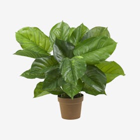 Large Leaf Philodendron Real Touch Plant - Green