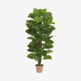 Large Leaf Philodendron Real Touch Plant