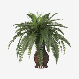 Boston Fern with Urn Vase - Green