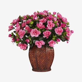 Azalea with Vase - Pink