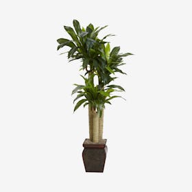 Cornstalk Draceana Real Touch Plant with Vase - Green