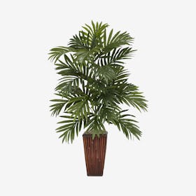Areca Palm Plant with Vase - Green