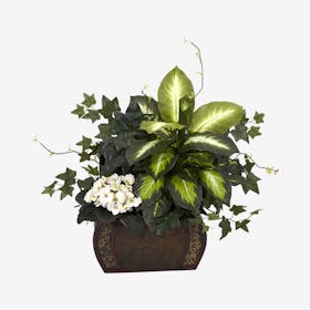 African Violet, Dieffenbachia and Ivy Plant with Chest - Green
