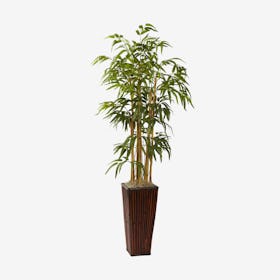 Bamboo with Tall Planter - Green