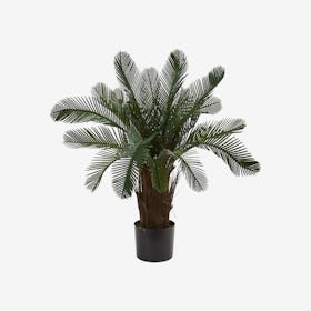 Indoor / Outdoor UV Resistant Cycas Tree